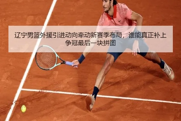 辽宁男篮外援引进动向牵动新赛季布局，谁能真正补上争冠最后一块拼图